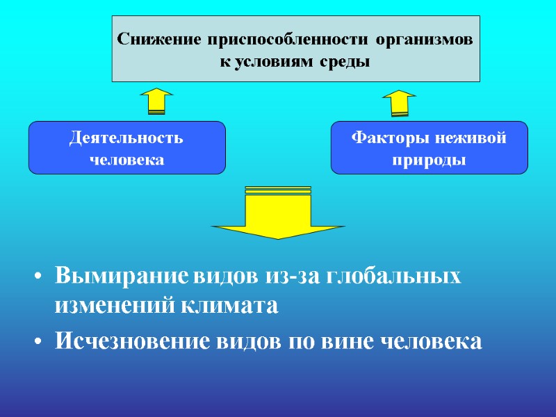 Вымирание видов из-за глобальных изменений климата Исчезновение видов по вине человека Снижение приспособленности организмов